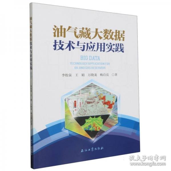 油氣藏大數(shù)據(jù)技術(shù)與應(yīng)用實踐