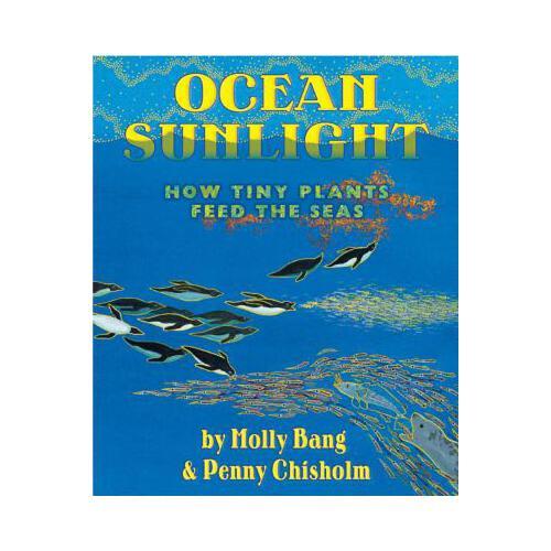 Ocean Sunlight: How Tiny Plants Feed the Seas