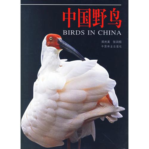 中國野鳥