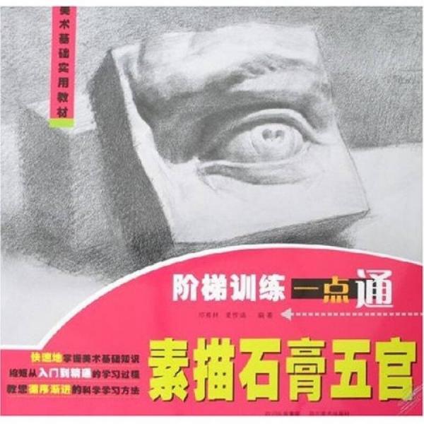 美術(shù)基礎(chǔ)實(shí)用教材：階梯訓(xùn)練一點(diǎn)通·素描石膏五官