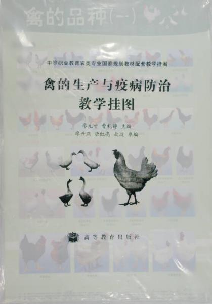 中等職業(yè)教育農(nóng)類專業(yè)國家規(guī)劃教材配套教學掛圖：禽的生產(chǎn)與疫病防治教學掛圖