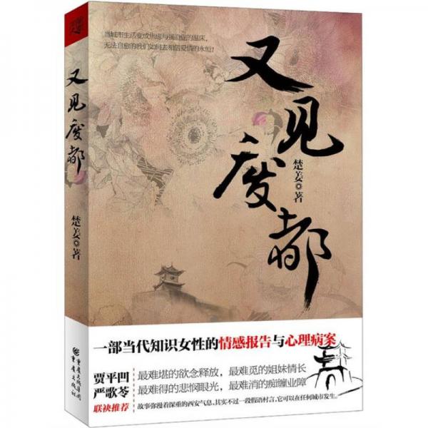 又見廢都