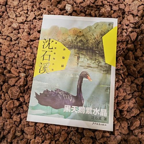 沈石溪激情动物小说升级版 黑天鹅紫水晶