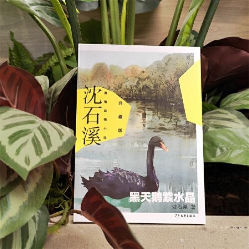 沈石溪激情动物小说升级版 黑天鹅紫水晶