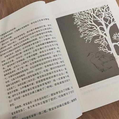 沈石溪激情动物小说升级版 黑天鹅紫水晶