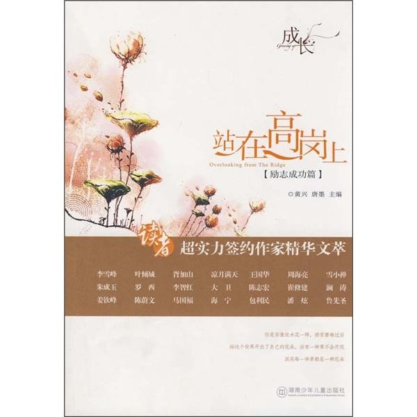 站在高崗上:勵(lì)志成功篇
