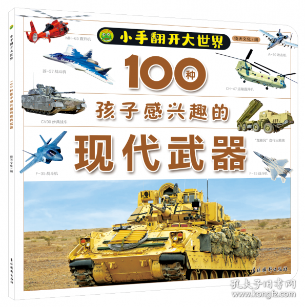 小手翻開(kāi)大世界 100種孩子感興趣的現(xiàn)代武器
