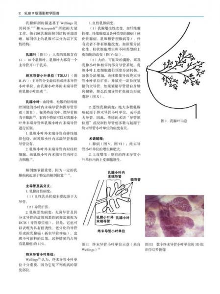 乳腺X线摄影教学图谱