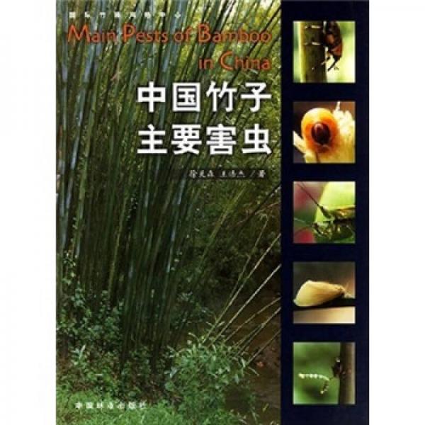 中国竹子主要害虫