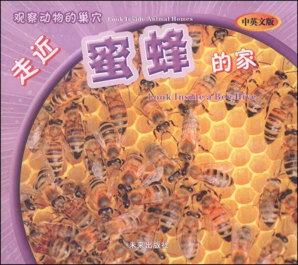 觀察動物的巢穴：走近蜜蜂的家（中英文版）
