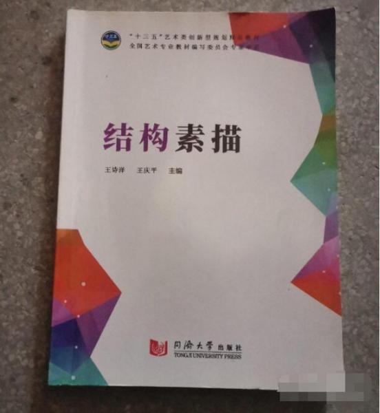 结构素描 王诗洋 王庆平主编 同济大学出版社 9787560876399