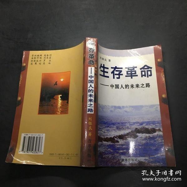 生存革命:中國人的未來之路