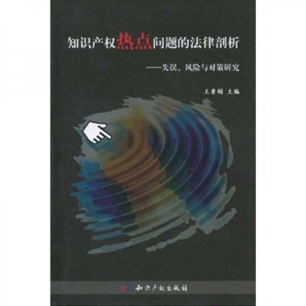 知识产权热点问题的法律剖析：失误、风险与对策研究