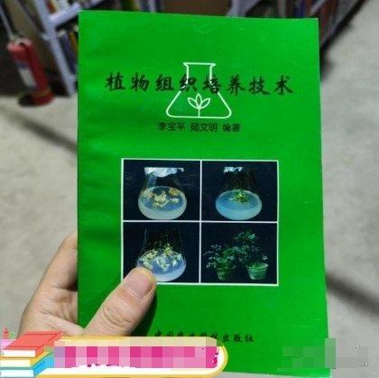 植物組織培養(yǎng)技術(shù)