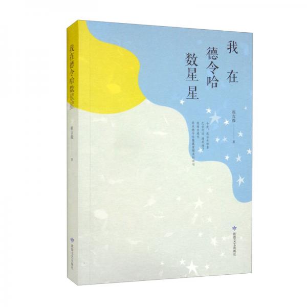 我在德令哈數(shù)星星
