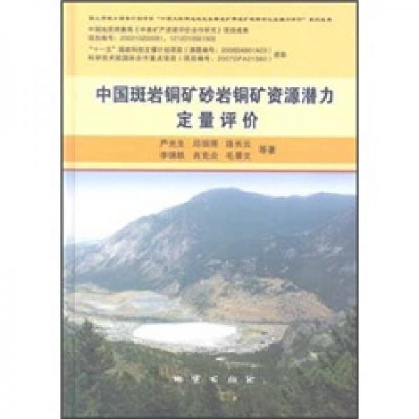 中國斑巖銅礦砂巖銅礦資源定量評價