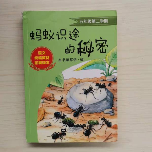 螞蟻?zhàn)R途的秘密