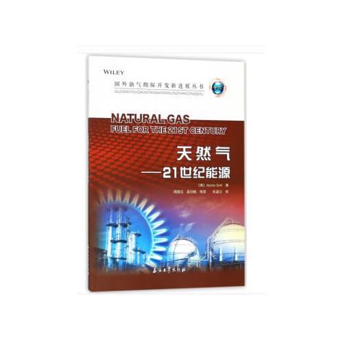 天然氣----21世紀(jì)能源