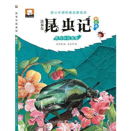 法布尔昆虫记（彩绘本）·贪吃的花金龟