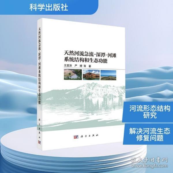 天然河流急流-深潭-河滩系统形态结构和生态功能
