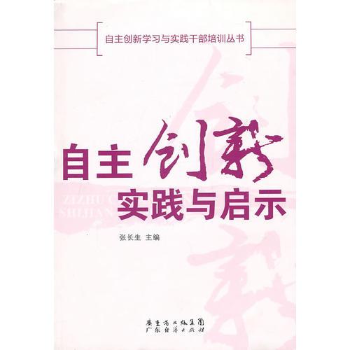 自主创新实践与启示