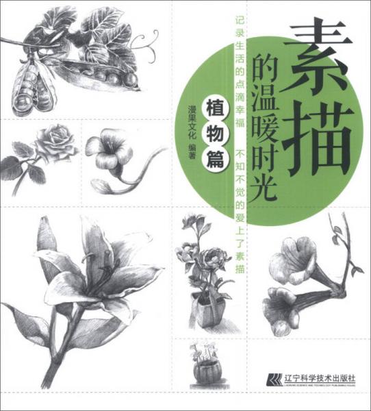 素描的温暖时光