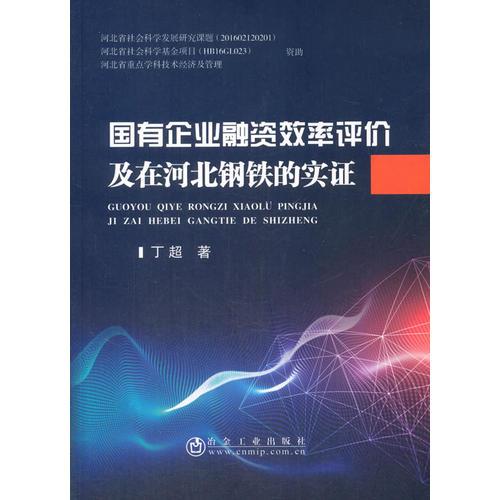 國(guó)有企業(yè)融資效率評(píng)價(jià)及在河北鋼鐵的實(shí)證