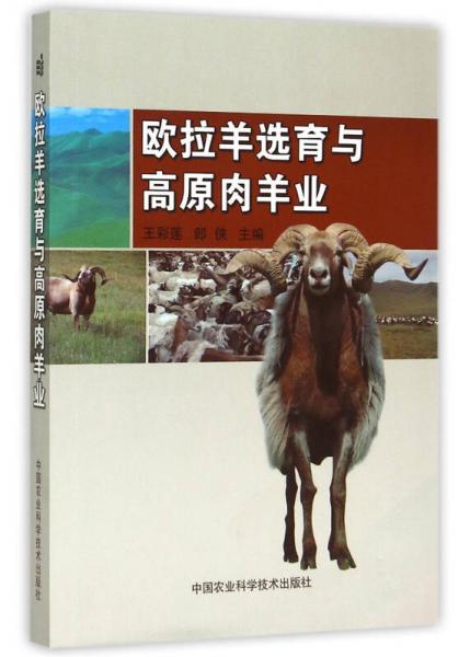 歐拉羊選育與高原肉羊業(yè)