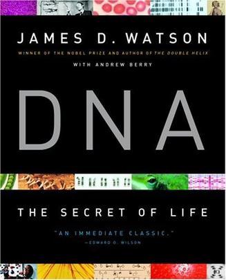 DNA：DNA