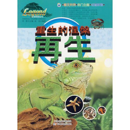 重生的涅槃——再生