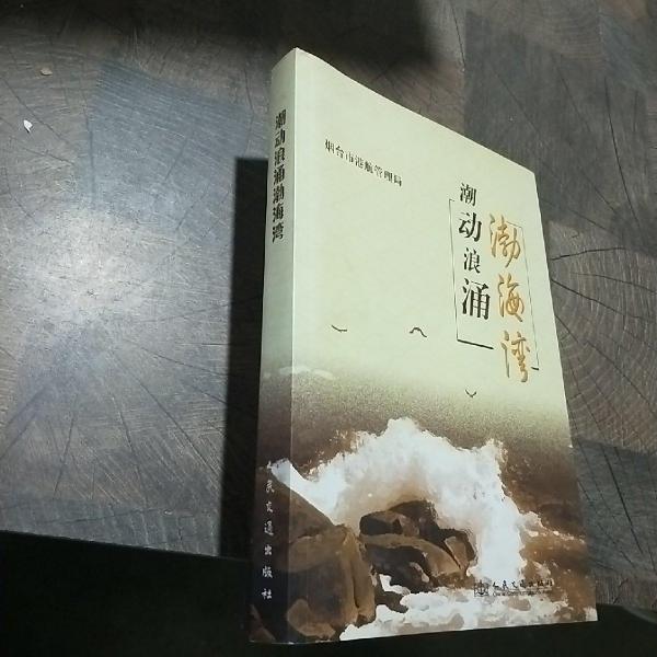 潮動浪涌渤海灣