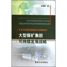 大型煤礦集團可持續(xù)發(fā)展戰(zhàn)略
