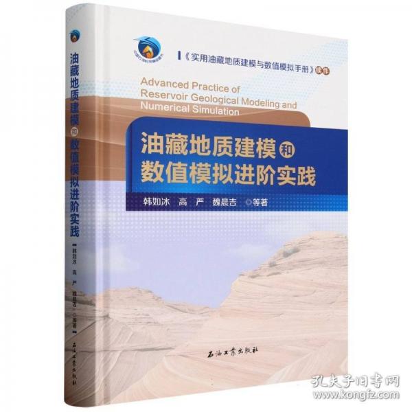油藏地质建模和数值模拟进阶实践