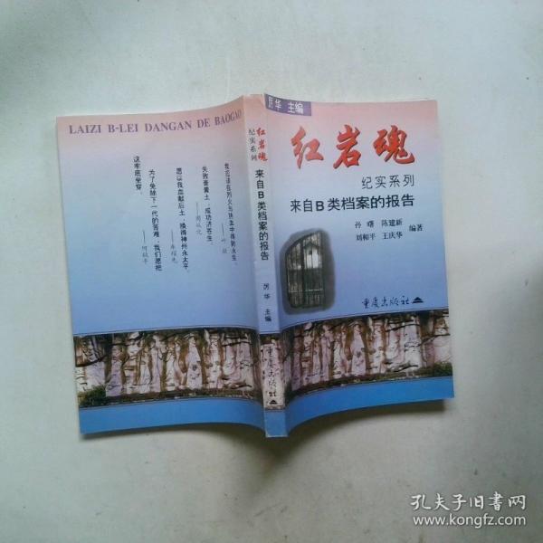 來(lái)自B類(lèi)檔案的報(bào)告