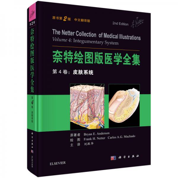 奈特绘图版医学全集  第4卷：皮肤系统（原书第2版）
