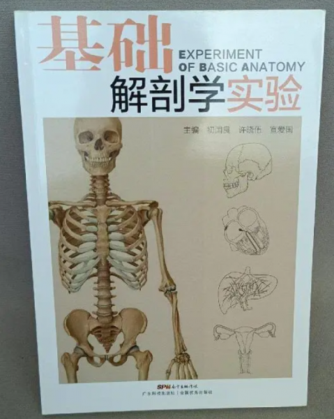 基礎解剖學實驗