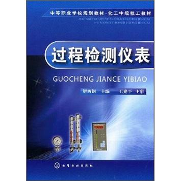 過程檢測儀表