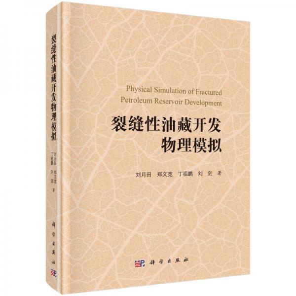 裂縫性油藏開發(fā)物理模擬