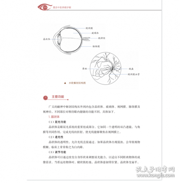 漫话中医养眼护眼
