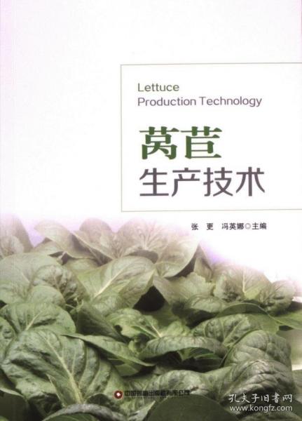 莴苣生产技术