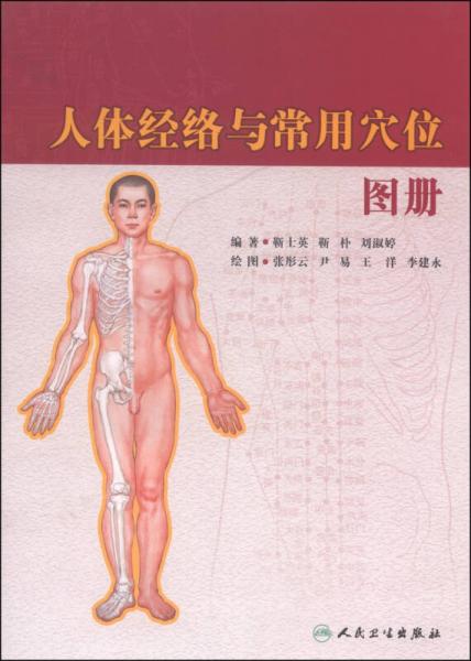 人體經(jīng)絡(luò)與常用穴位圖冊