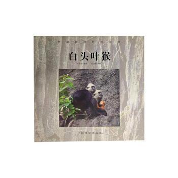 中國珍稀野生動物——白頭葉猴