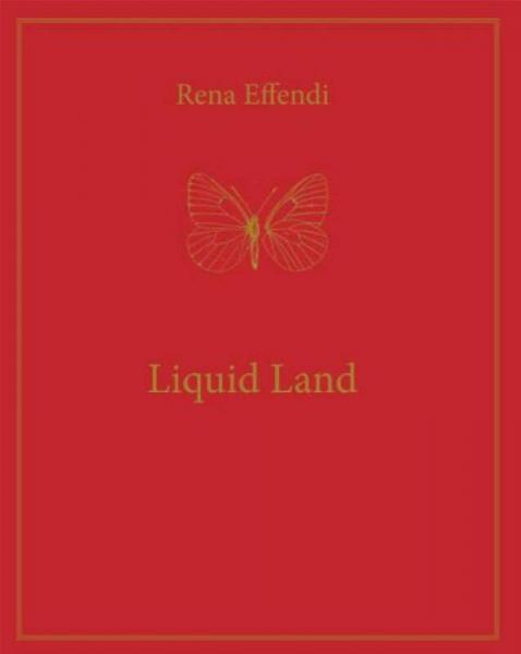 Rena Effendi: Liquid Land 瑞納·埃芬迪：液體土地 