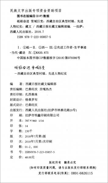 砥礪奮進 雪域巨變——西藏自治區(qū)典型村鎮(zhèn)、先進人物紀實