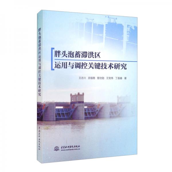 胖頭泡蓄滯洪區(qū)運(yùn)用與調(diào)控關(guān)鍵技術(shù)研究