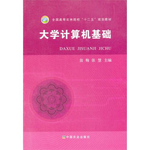 大學(xué)計(jì)算機(jī)基礎(chǔ)（翁梅、張慧）