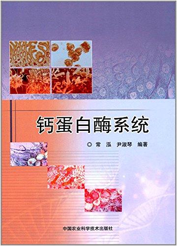 鈣蛋白酶系統(tǒng)