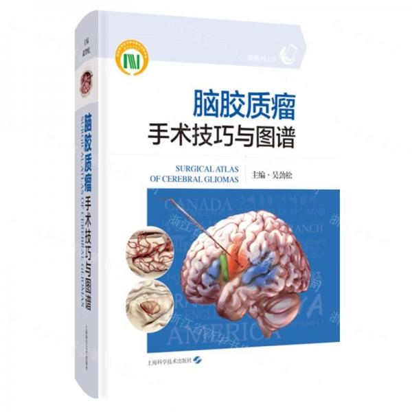 腦膠質(zhì)瘤手術(shù)技巧與圖譜(精)