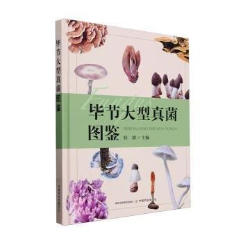 畢節(jié)大型真菌圖鑒