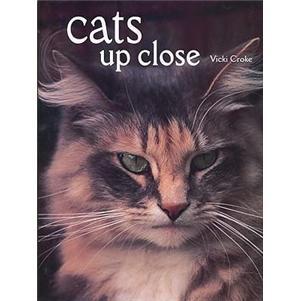 CatsUpClose